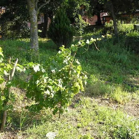 Il Boschetto Calestano