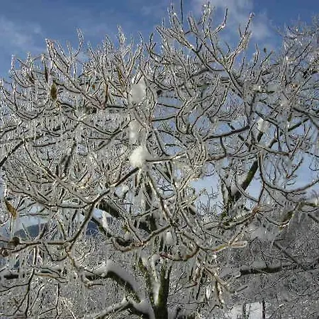 Frühstückspension Il Boschetto 3*