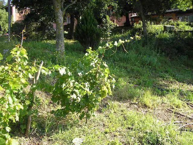 Il Boschetto Calestano