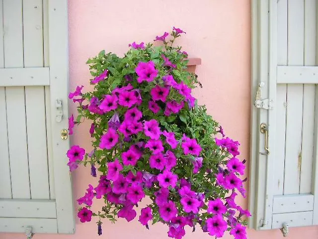 Bed & Breakfast Il Boschetto 3*