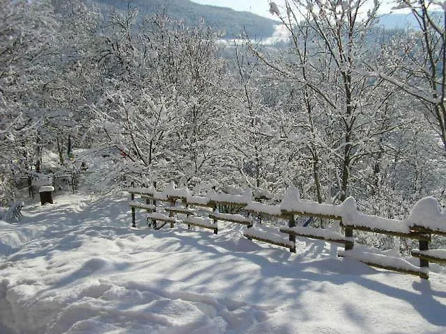 Bed & Breakfast Il Boschetto